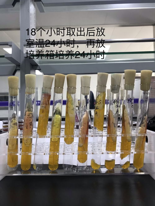 沙門氏菌三糖鐵結(jié)果,可以做出什么判斷 食品微生物檢測(cè) powered discuz